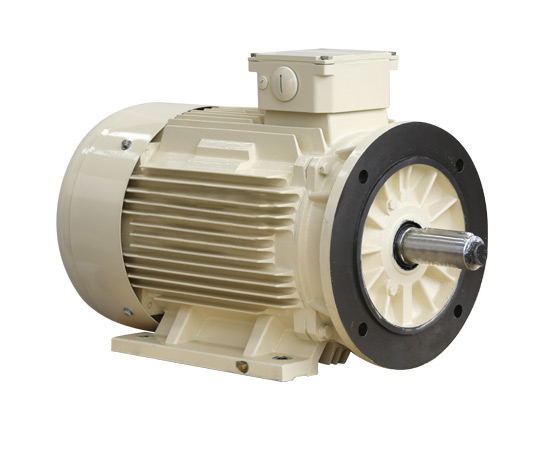 YE2系列高效率三相異步電動機(jī)